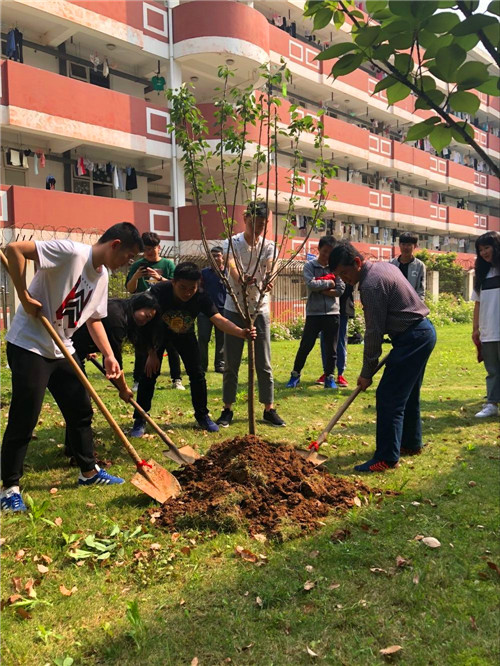 副院长薛忠云与同学们一起种下树苗.jpg